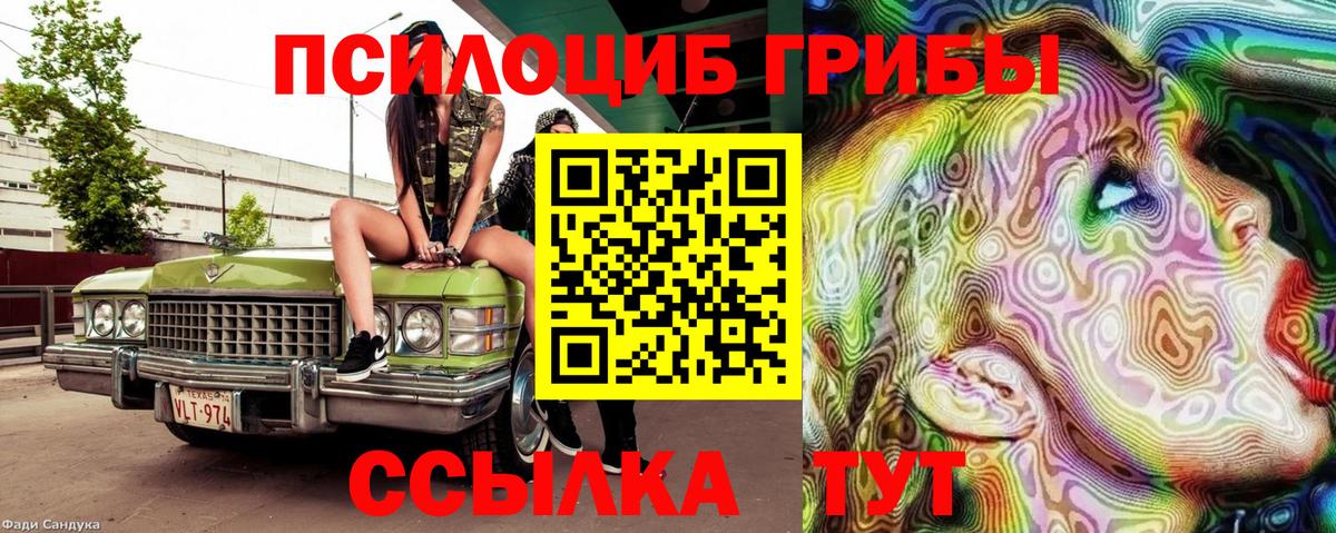 Псилоцибиновые грибы Cubensis  Псилоцибиновые грибы Psilocybe  купить наркотик  Сосновоборск  Вход с VPN 